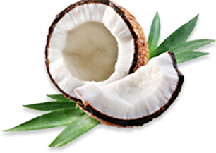 coconut