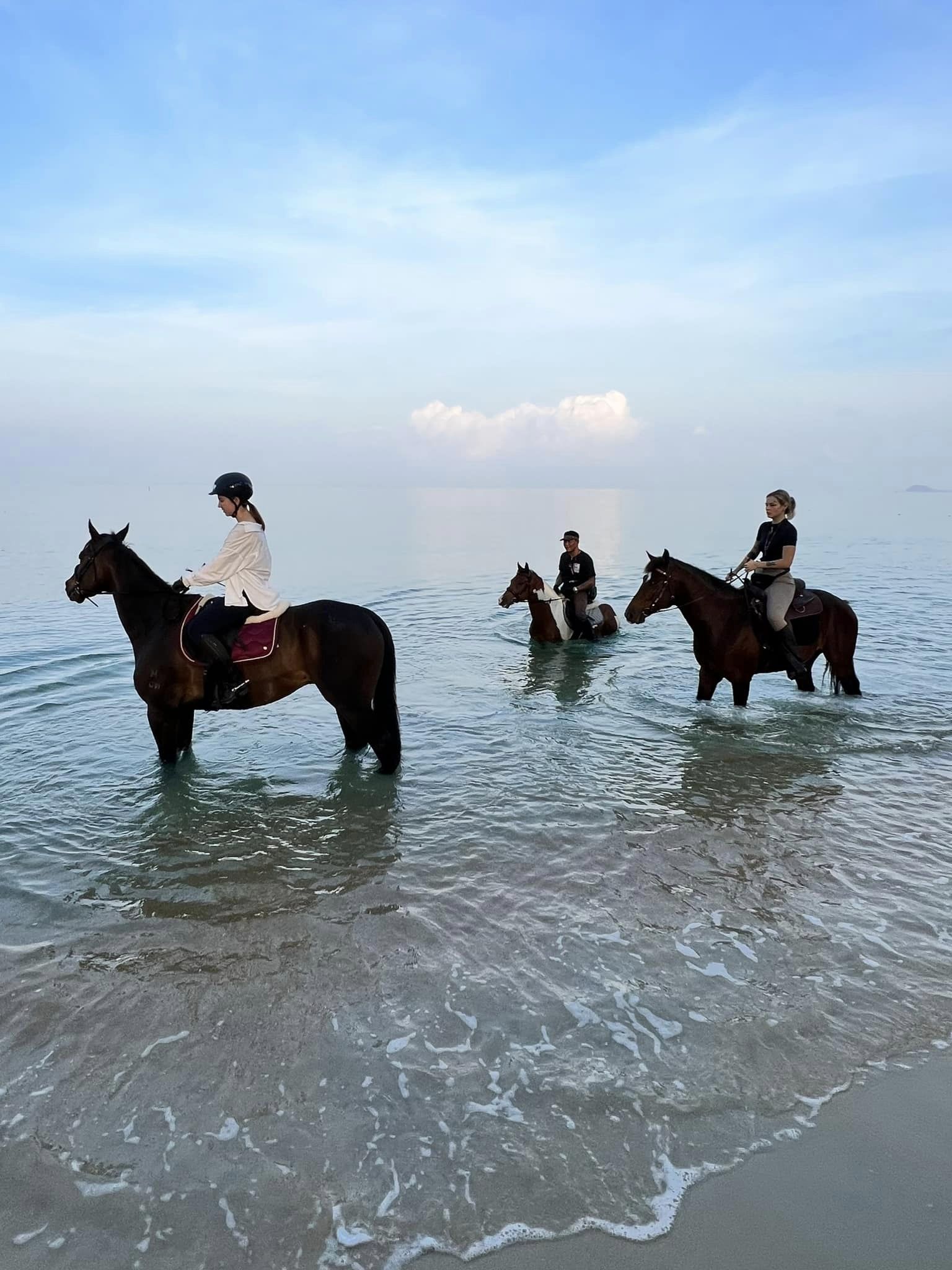 Pêcheur Équitation style=