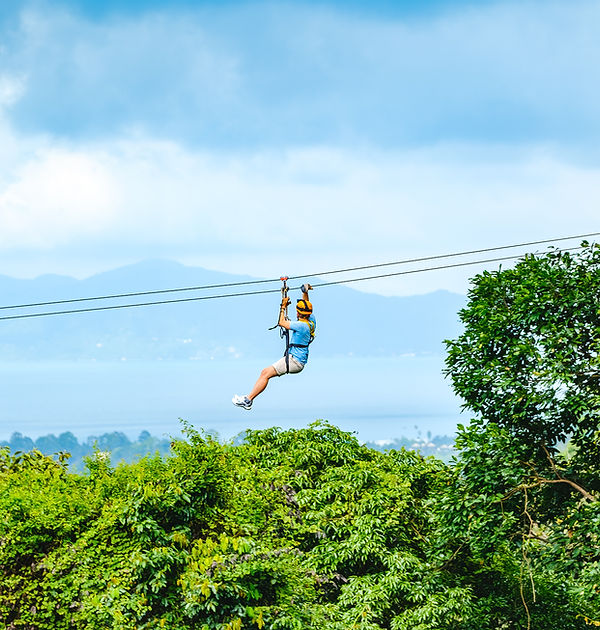 Tree Bridge Zipline Samui style=