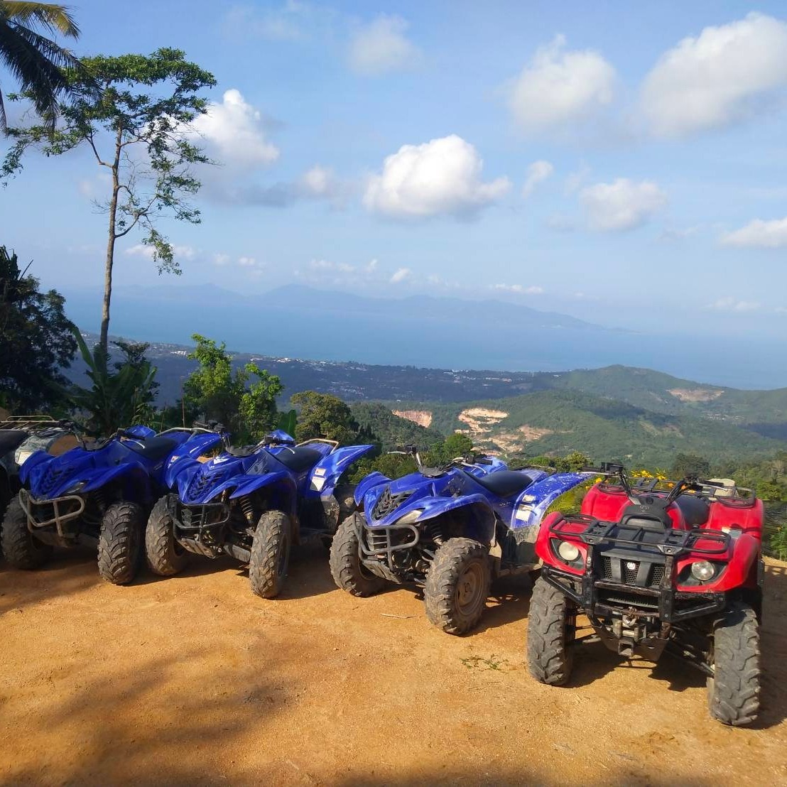 Samui Quad Motor style=