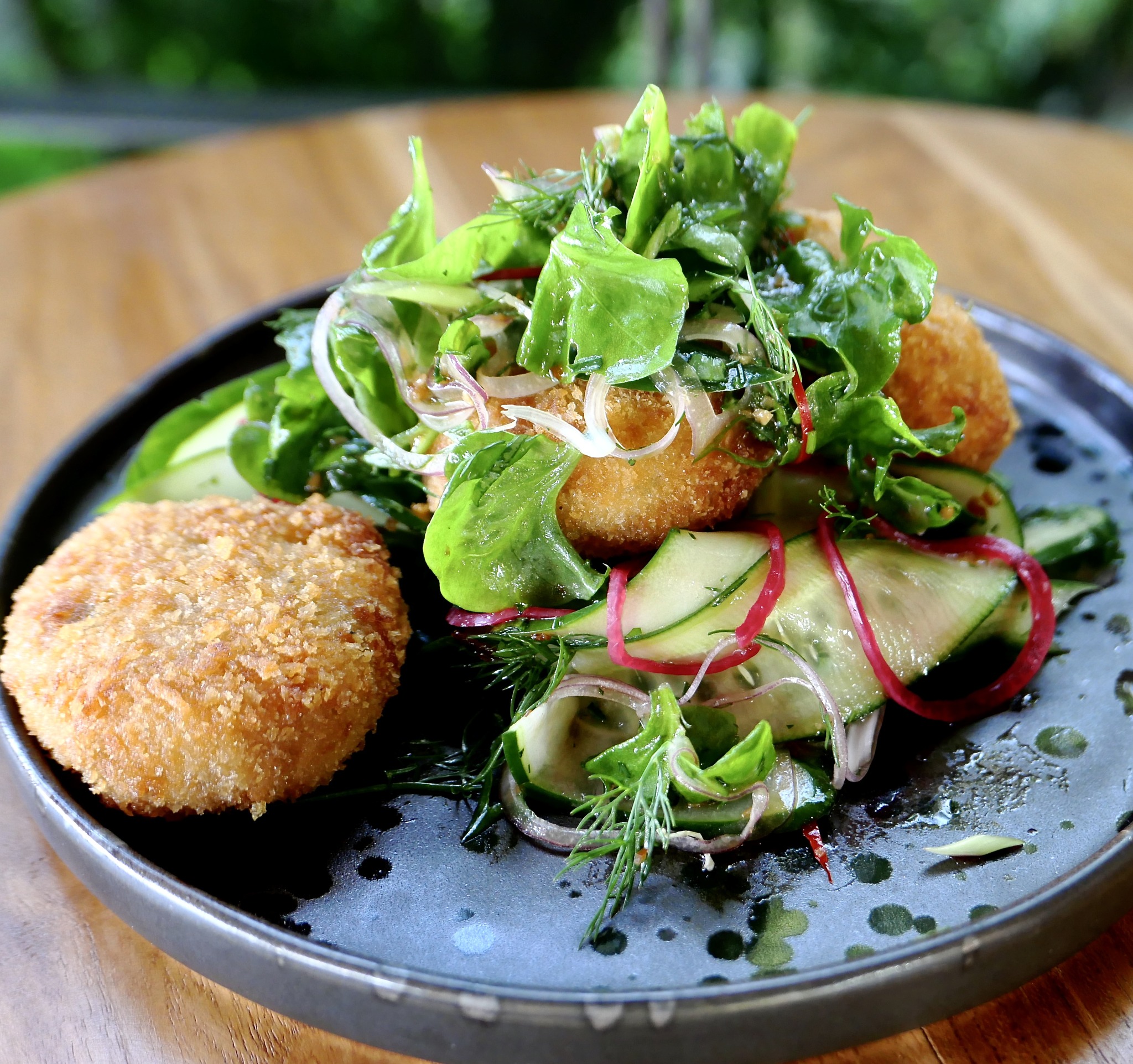 Dr Frogs Bar & Grill style=