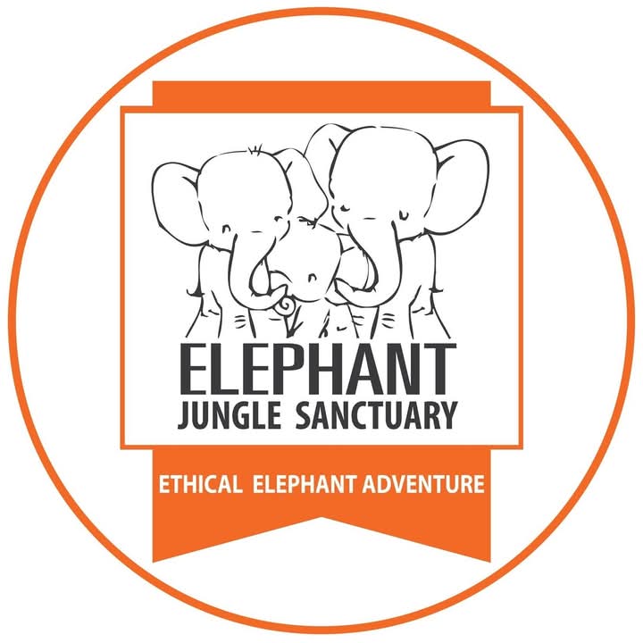 Elephant jungle sanctuary