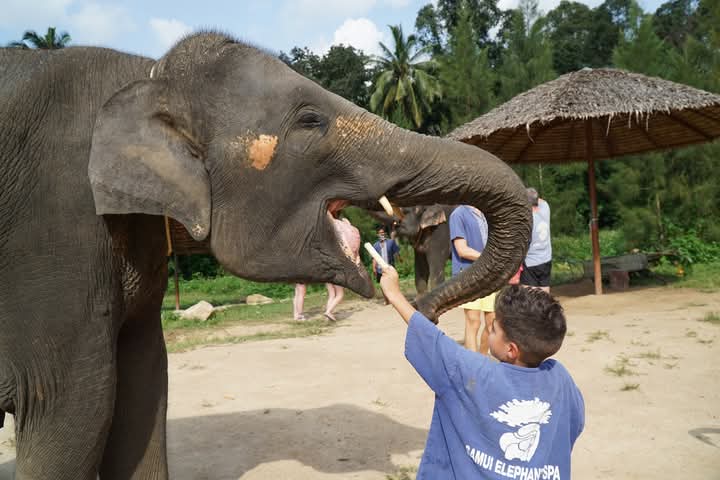 Samui Olifant Spa style=