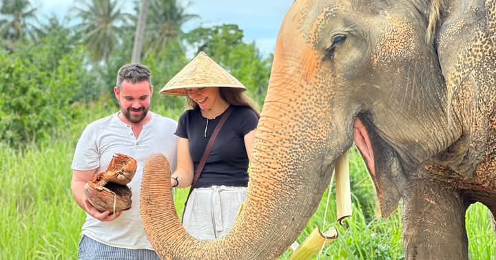 Samui Elephant Home style=